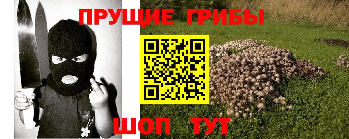 Галлюциногенные грибы ЛСД Каменск-Шахтинский